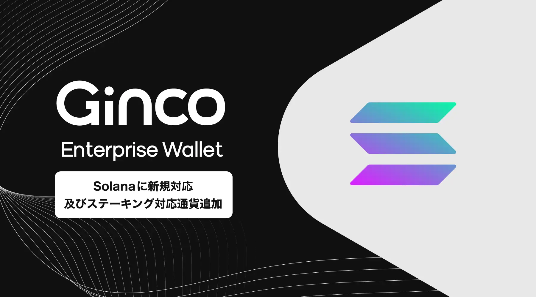 Ginco Enterprise Wallet、Solanaに新規対応およびステーキングサービスの開始