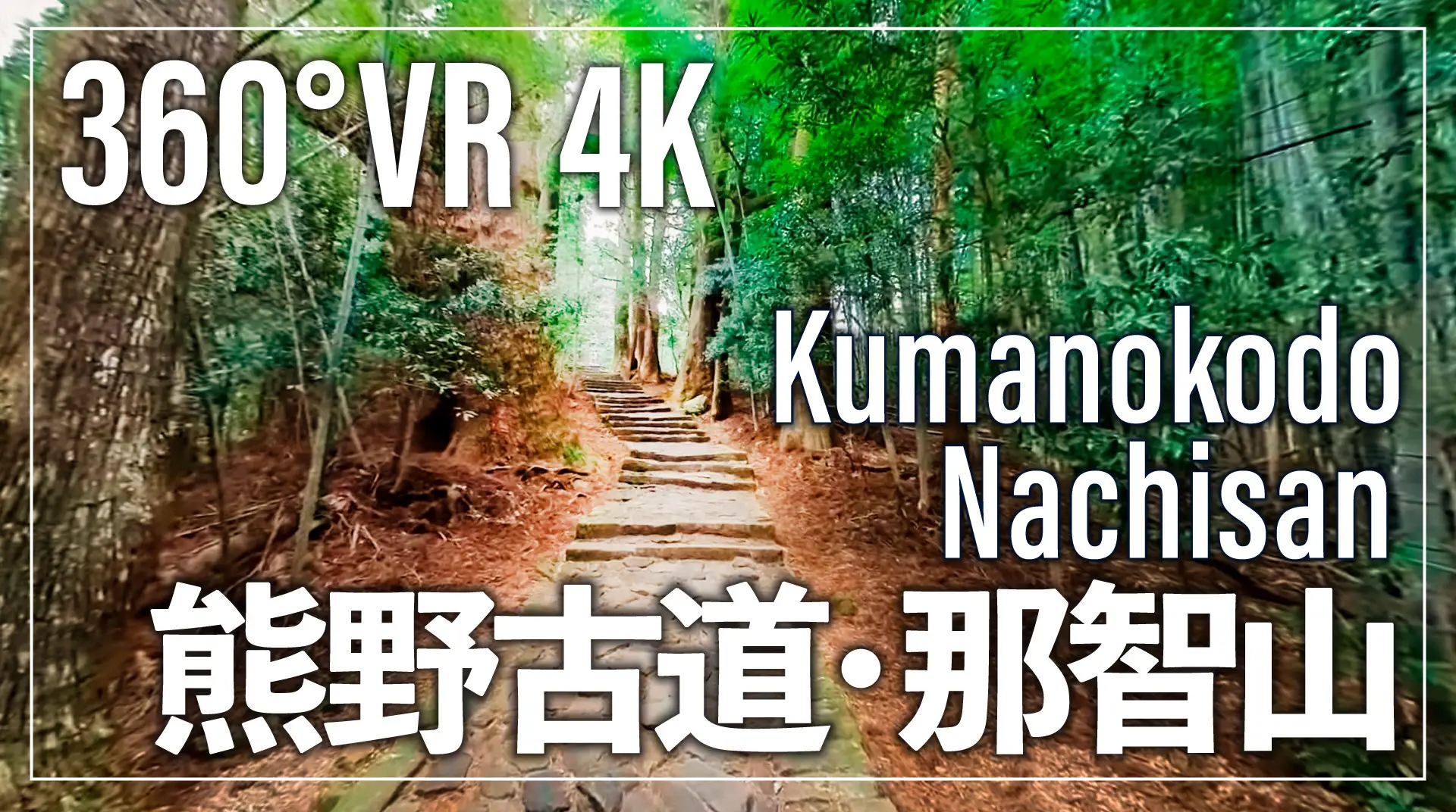 熊野古道のバーチャル体験「360°VR観光動画」が公開 - 世界遺産登録20周年を記念